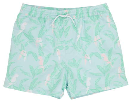 Tortola Swim Trunks on Sale