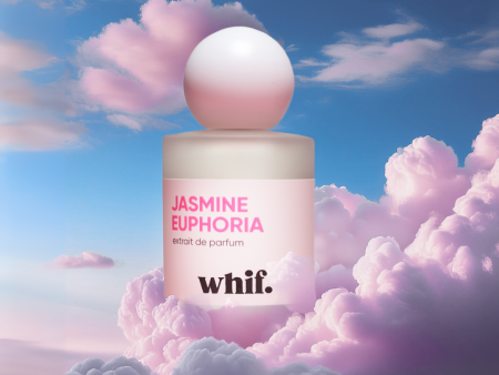 Jasmine Euphoria Online Sale