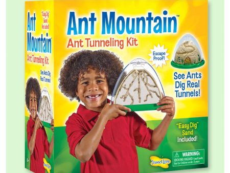 Ant Mountain With Coupon For Live Ants Online Hot Sale